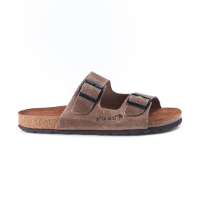 INTER-BIOS 9.560 PARDO