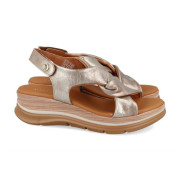 PAULA URBAN 24-669 PLATINO-2