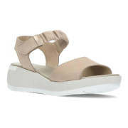 PAULA URBAN 8-216 TORTOLA-1