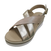 BAERCHI 80204 CHAMPAN-1